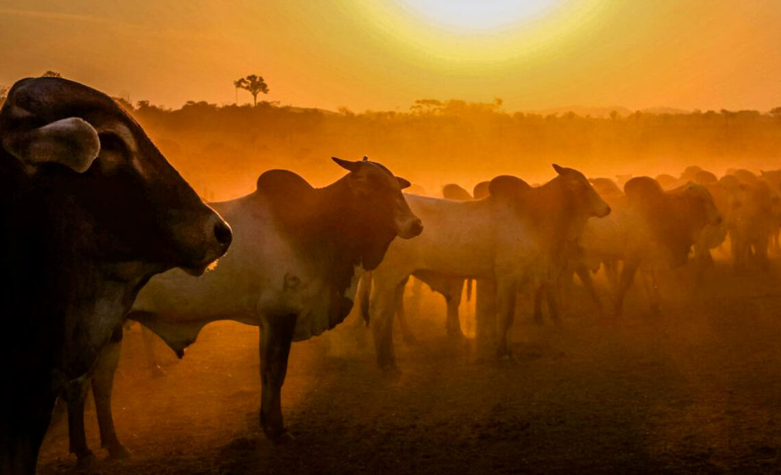 onda de calor
