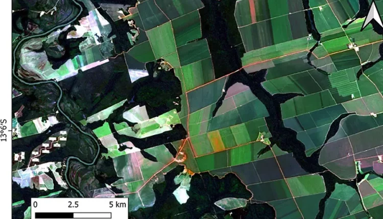 Inteligência Artificial mapeamento agrícola