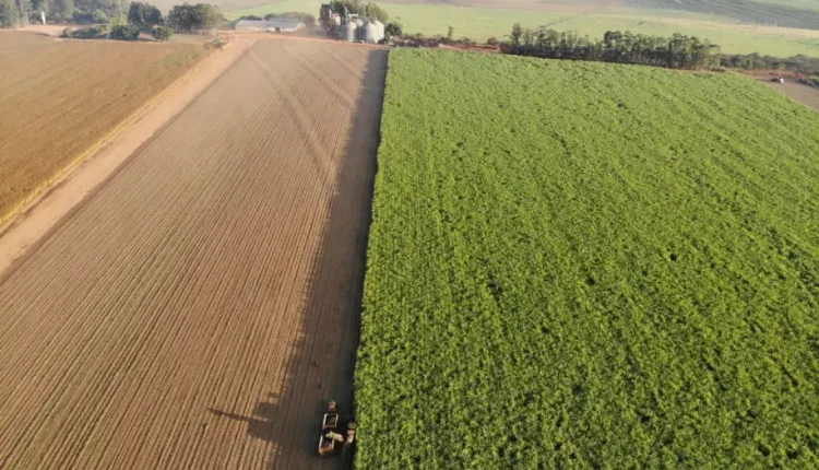 fazenda-brasilagro