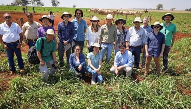 Agricultura e Pecuária