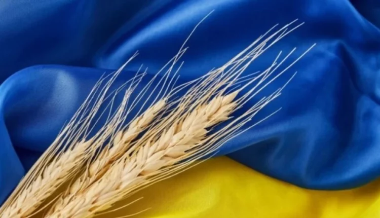 Exportação de grãos Ucrânia