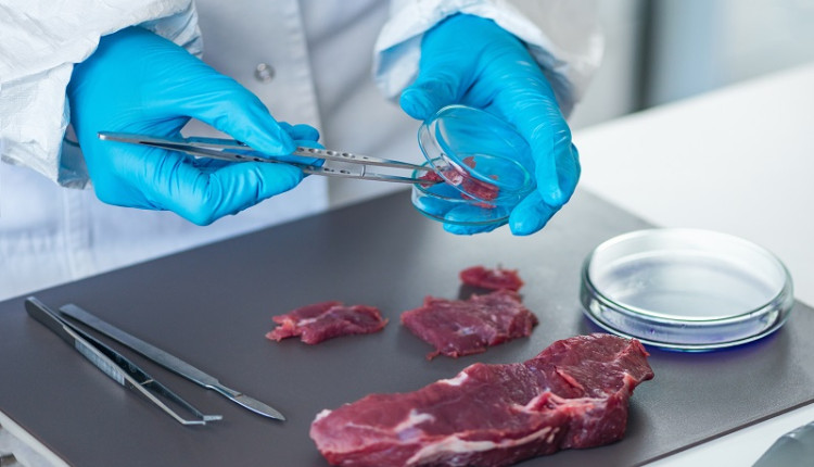 carne de laboratorio