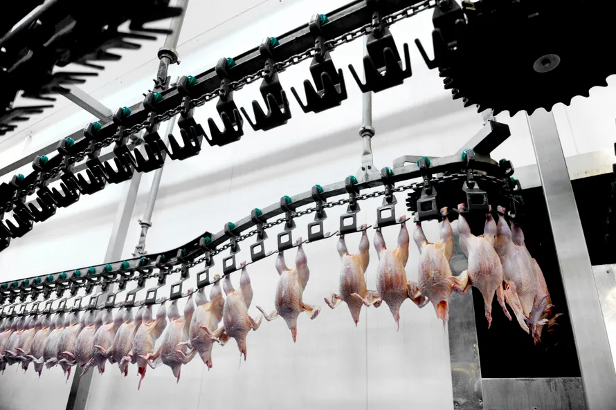 Abate de frango Halal