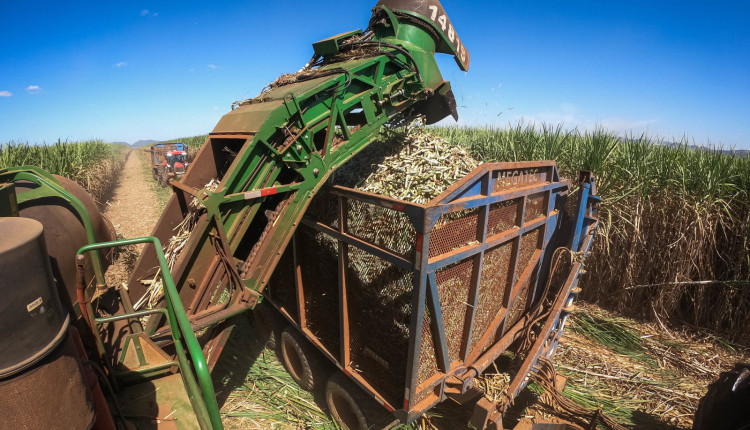CNA visita a usina Jalles. Produzem cana-de-açucar, álcool, açúcar orgânico 2 renova