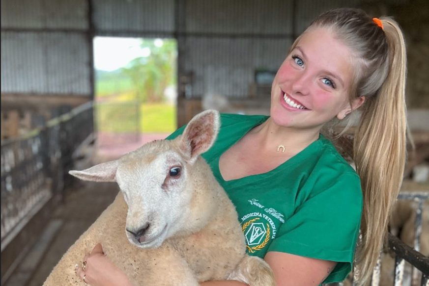 medicina veterinária