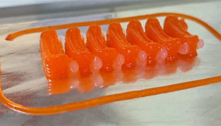 Pesquisadores usam impressão 3D para produzir arquivos analógicos aos de pescado