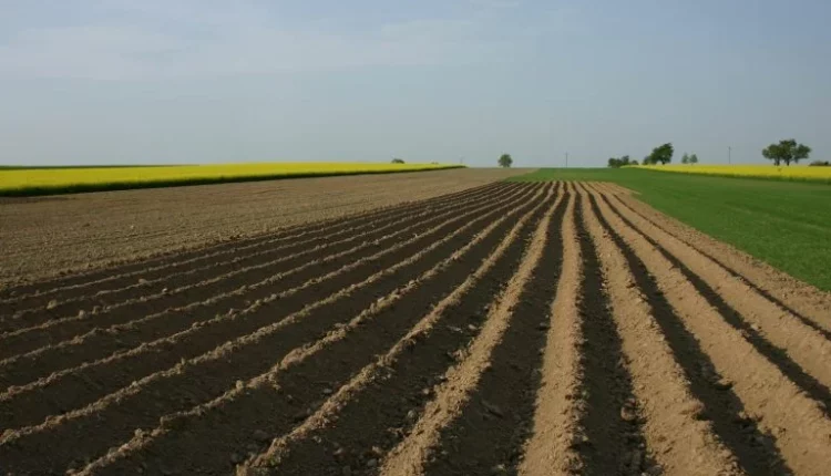 Mercado está de olho em nova abordagem de pegada ecológica;Mercado está de olho em nova abordagem de pegada ecológica;