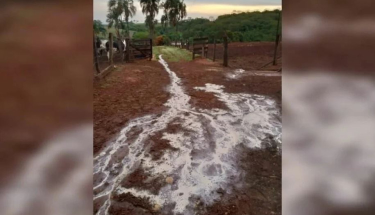 Produtora perde leite em Goiás