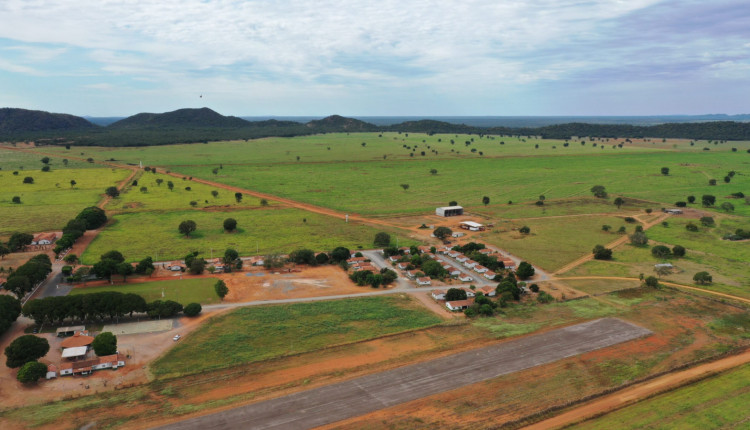 Fazenda degradada de MS deu a volta por cima e passou a ser uma das mais produtivas do Brasil.