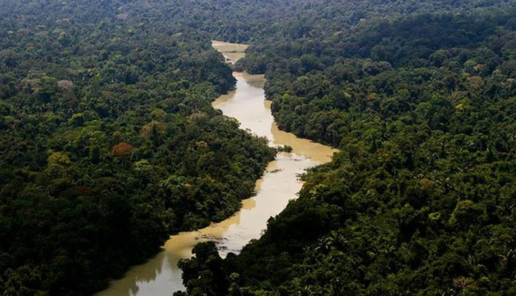 Amazônia