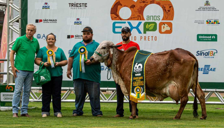 torneio leiteiro