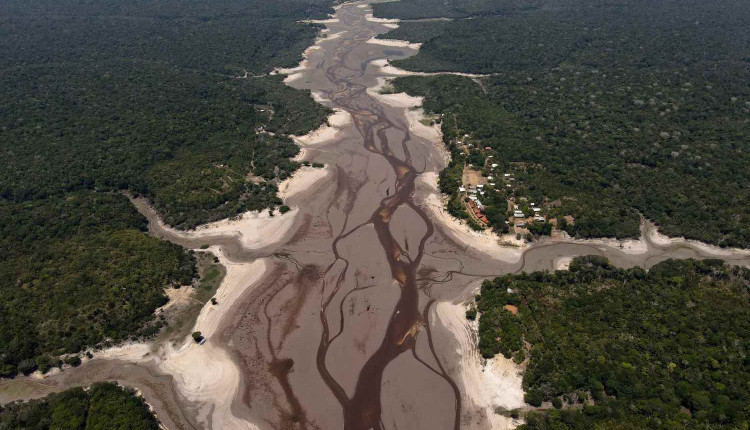 amazonas