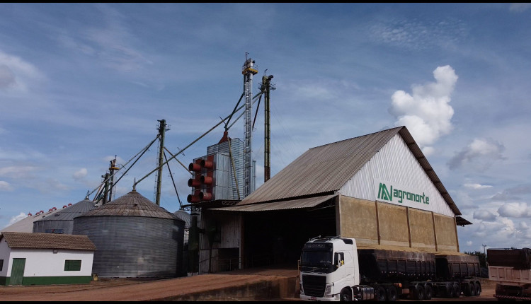 Agronorte planeja investimentos em armazém de grãos e fábrica de rações no Tocantins