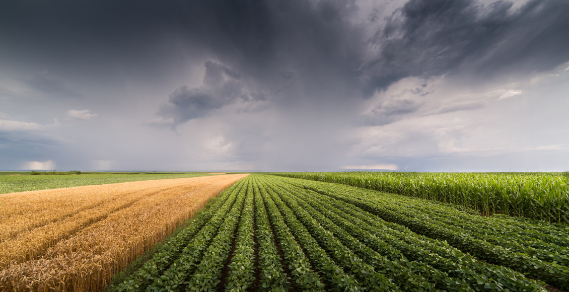 desafios climáticos