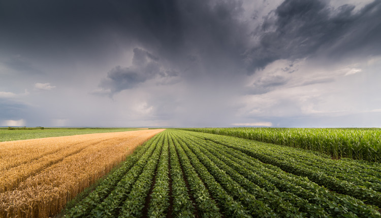 desafios climáticos