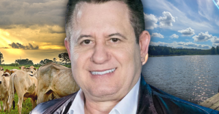 marrone