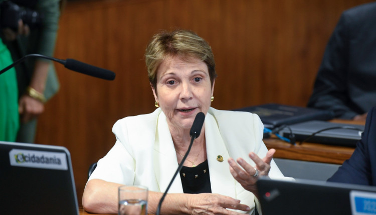 senadora Tereza Cristina (PP-MS)