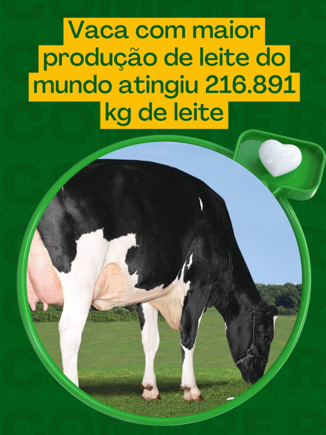 Vaca com maior produção de leite do mundo atingiu 216.891 kg de leite