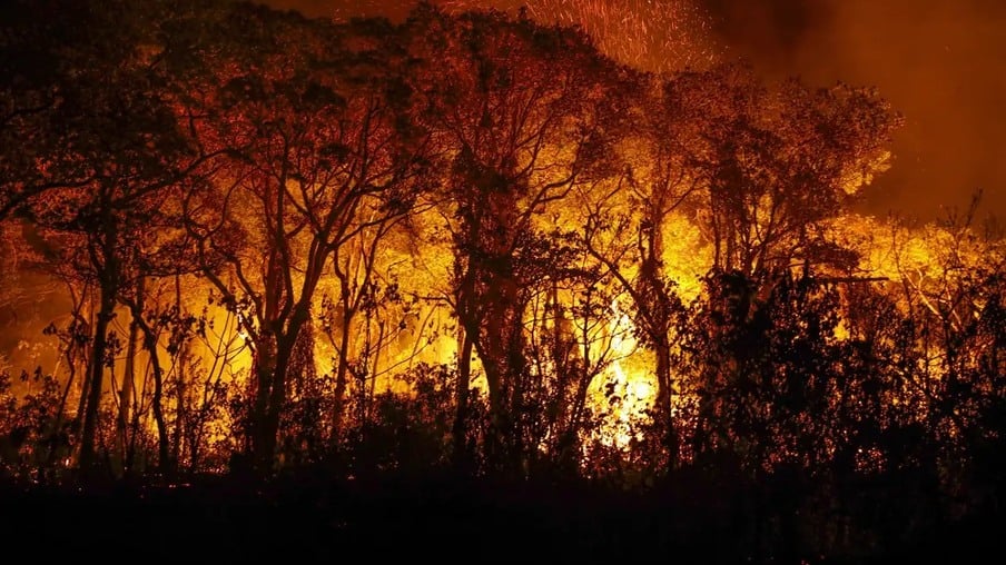 Pantanal: incêndios disparam mais de 1000% e bacia do rio Paraguai tem seca recorde