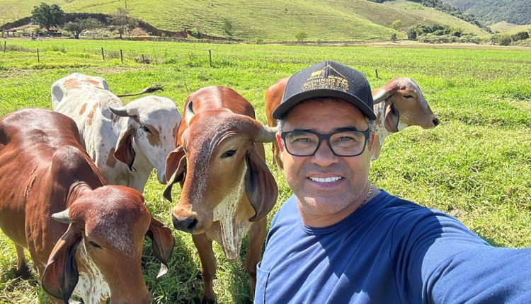 A 2ª edição da Agroshow Caparaó Capixaba reunirá 174 animais de excelência em exposição e concurso leiteiro da raça Gir, na cidade de Muniz Freire (ES).
