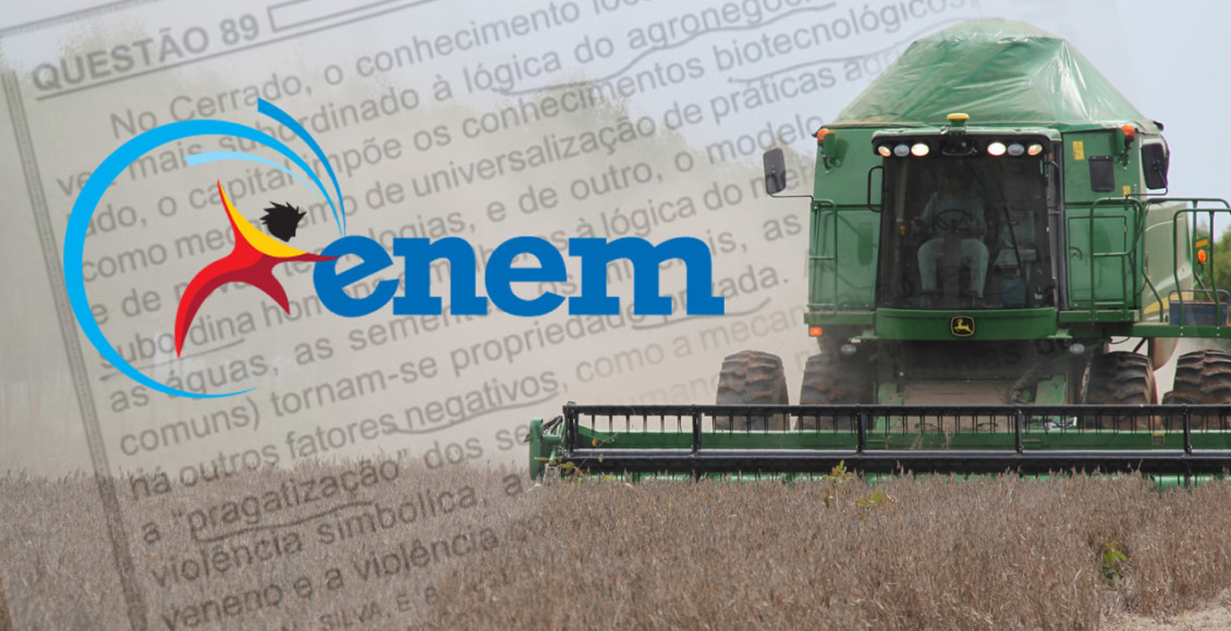 questao do enem sobre o agroneogcio2
