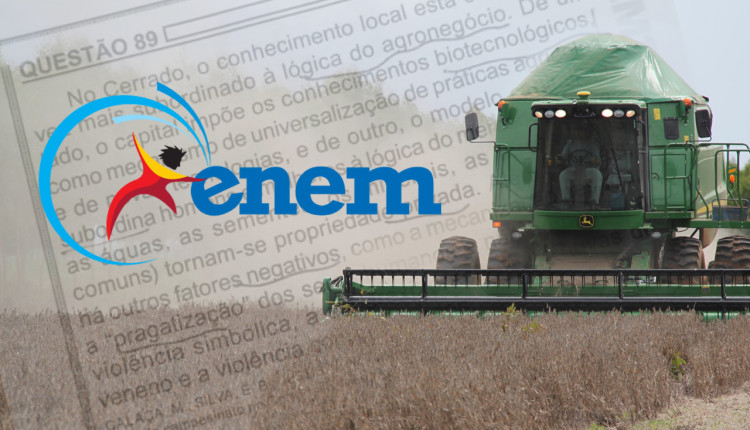 questao do enem sobre o agroneogcio2