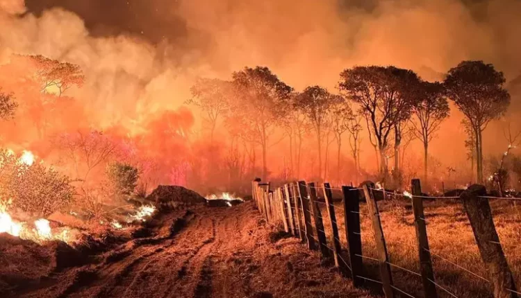 incêndio no pantanal