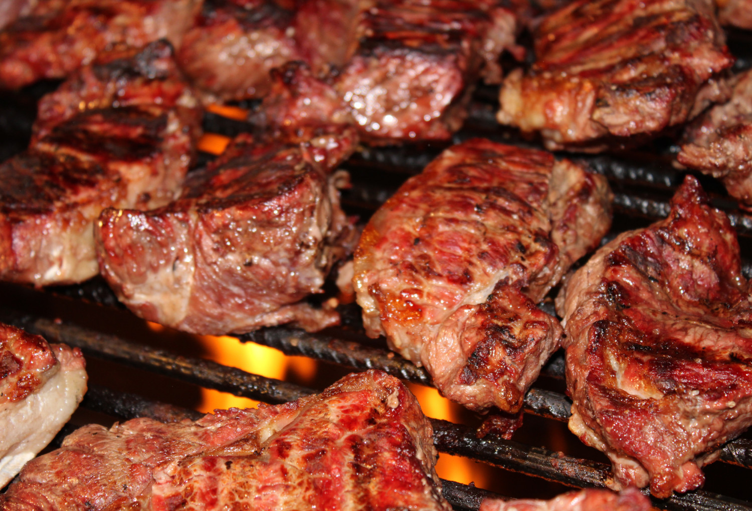 Pesquisa mostra que 96% dos pecuaristas são favoráveis ao Instituto Gaúcho da Carne