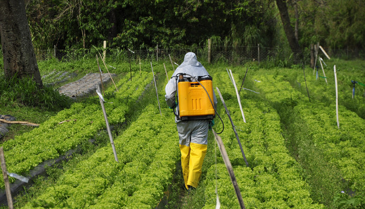 defensivos agrícolas