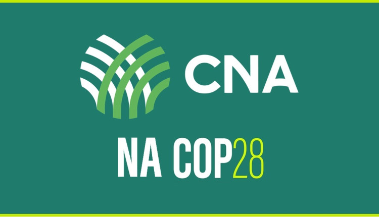 CNA leva posicionamento dos produtores rurais brasileiros à COP 28