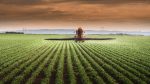 Resiliência às mudanças climáticas deve guiar investimentos na agricultura, avalia coalizão de ONGs e empresas do agro