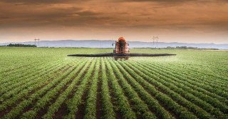 Resiliência às mudanças climáticas deve guiar investimentos na agricultura, avalia coalizão de ONGs e empresas do agro