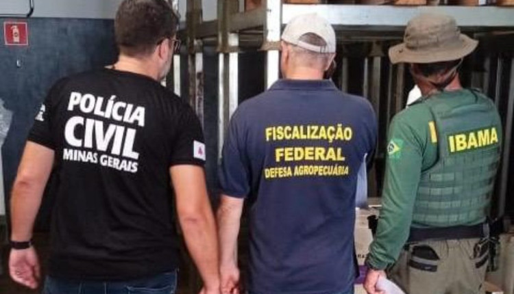 Mapa, Ibama e Polícia Civil de Minas Gerais realizam fiscalização conjunta atrás de agrotóxicos roubados e falsificados no estado de Goiás