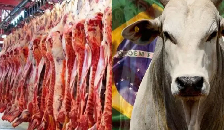 produção de carne Brasil