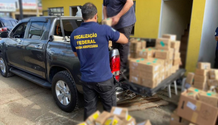 Mais de 7 mil frascos de produto de uso veterinário à base de cetamina são apreendidos em operação conjunta no DF, SP e RJ