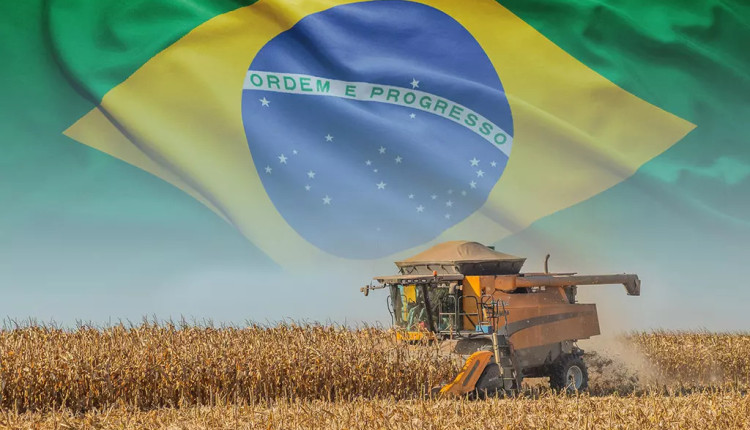 agro brasileiro