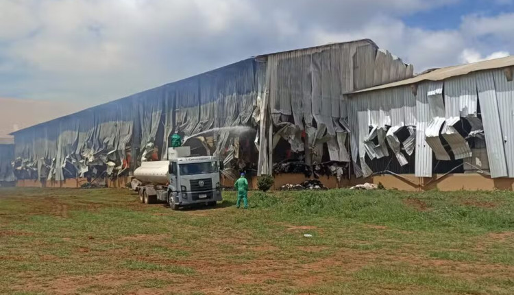 Incêndio atinge galpão no oeste da Bahia — Foto: Divulgação/Corpo de Bombeiros