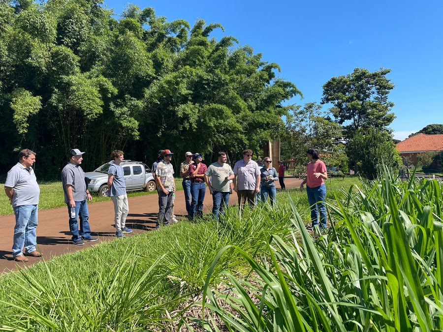 A pesquisadora Patrícia Menezes fala sobre pastagens para um grupo de visitantes na Embrapa Pecuária Sudeste. Foto Gisele Rosso
