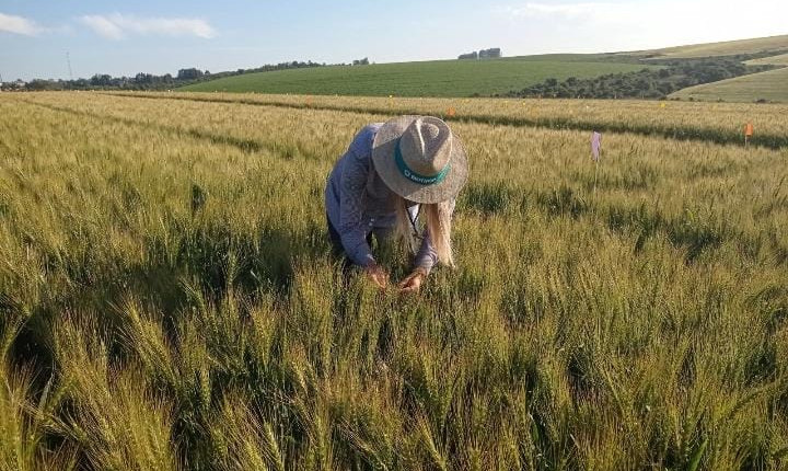 Soluções biológicas são foco da Biotrop na Dinetec 2024, em Canarana (MT)