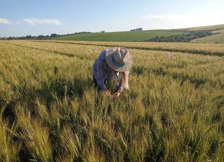 Soluções biológicas são foco da Biotrop na Dinetec 2024, em Canarana (MT)