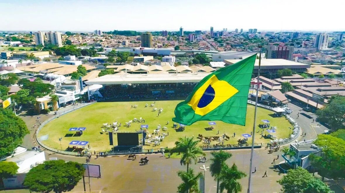 ExpoZebu