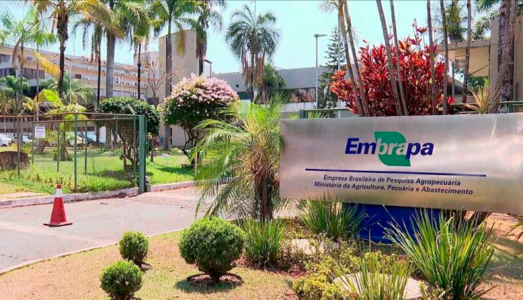 concurso da embrapa