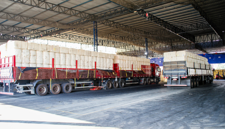 porto exportação de algodão