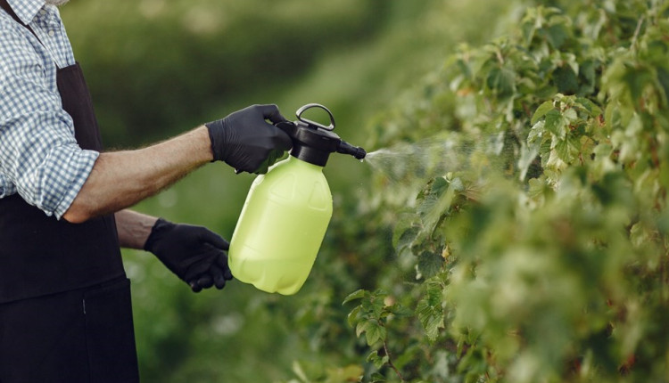 defensivos agrícolas