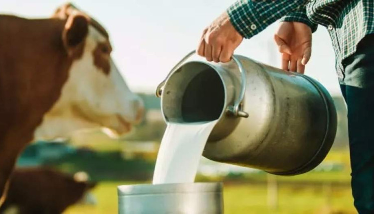 auxílio para produtores de leite