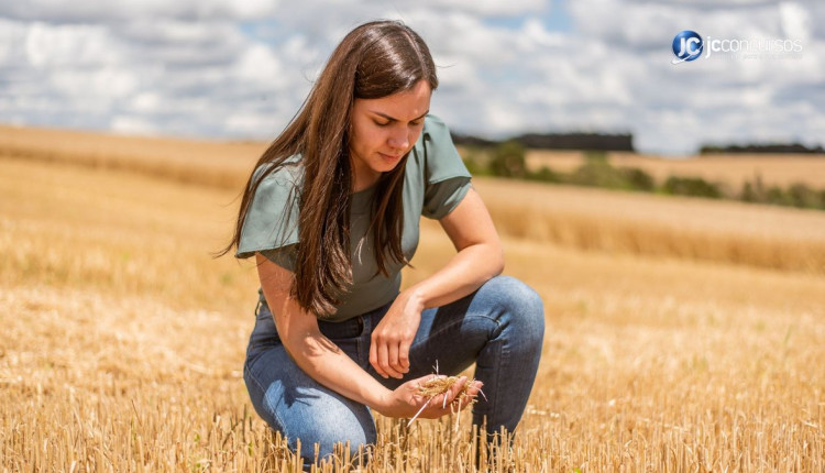 As profissões mais bem pagas no agronegócio para 2024