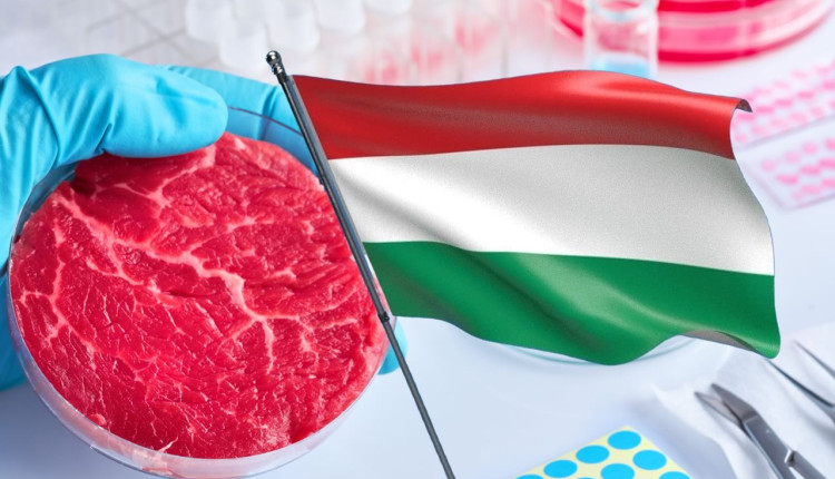 hungria estuda proibir carne cultivada em laboratorio