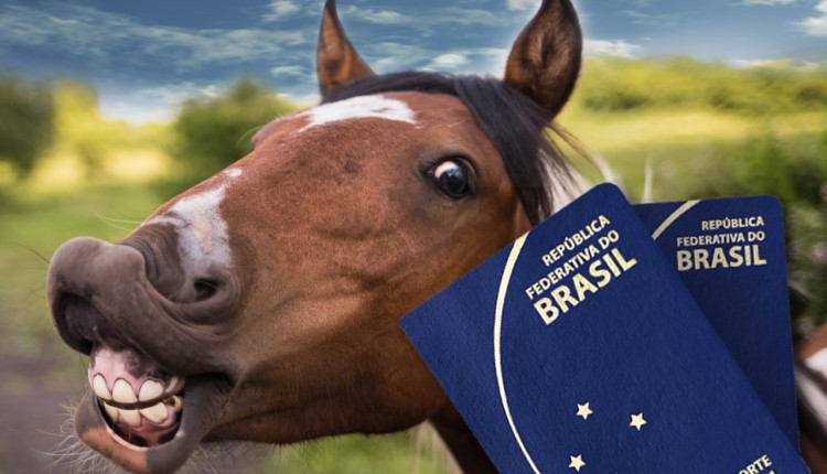 passaporte equestre - brasil