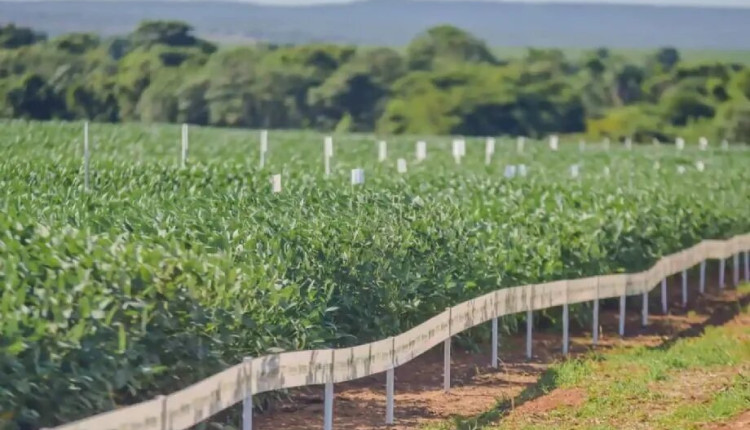 Aprosoja-MT auxilia produtores no manejo de solos siltosos