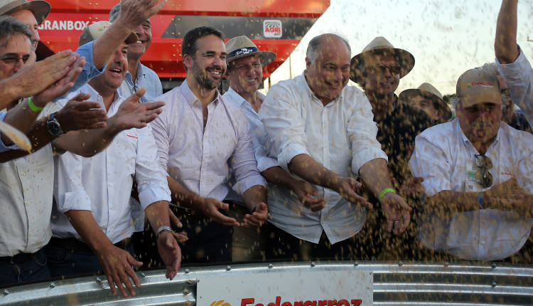 Abertura-da-Colheita-do-Arroz-Credito-Paulo-Rossi-Divulgacao